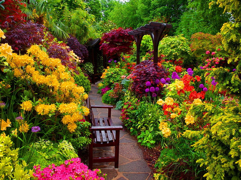 Colorful Garden Path — Green, Serene, Afternoon, Photograph