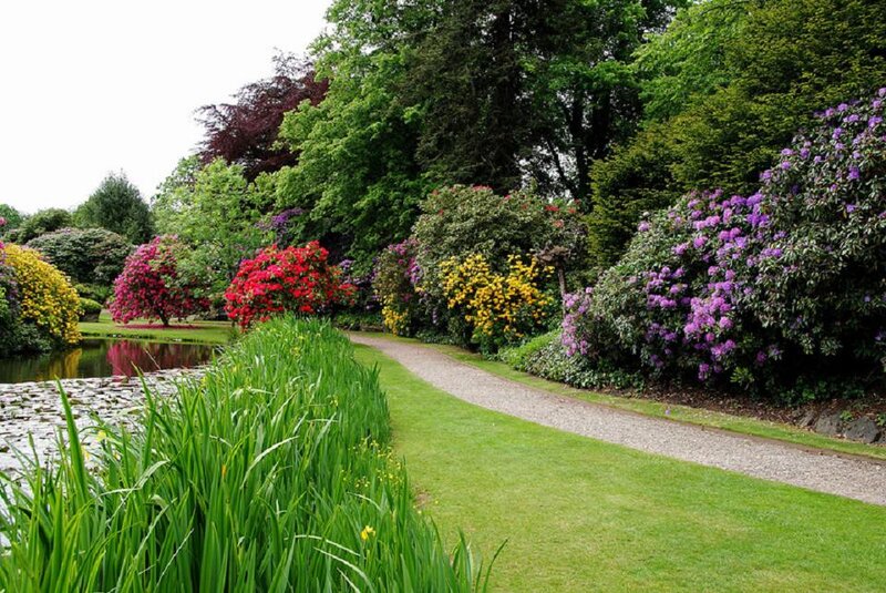 Colorful Garden Path — Green, Serene, Afternoon