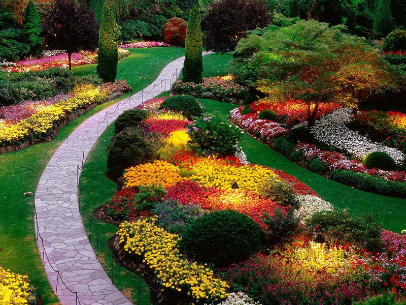 Colorful Garden Path — Green, Serene, Night