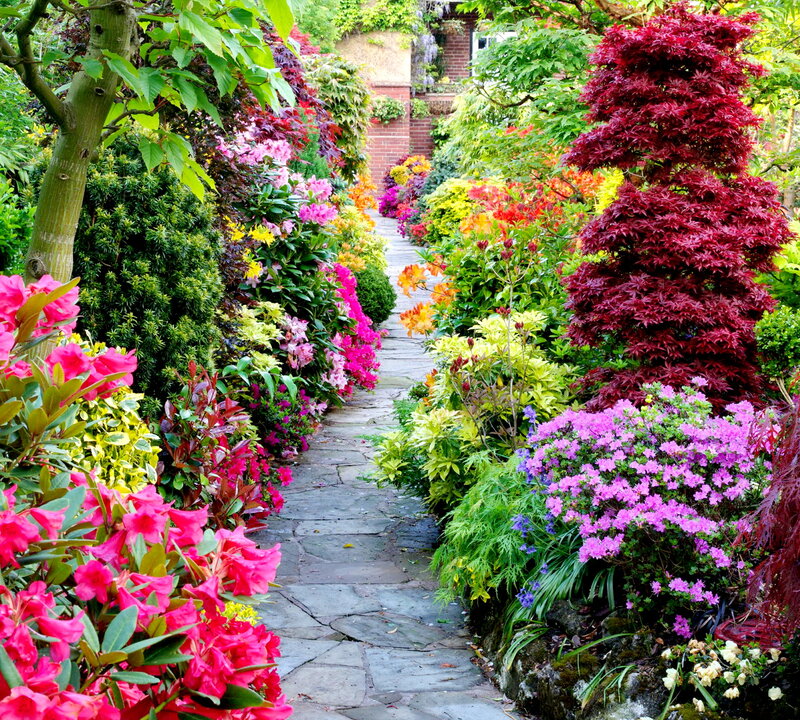 Colorful Garden Path — Green, Serene, Spring, Photograph