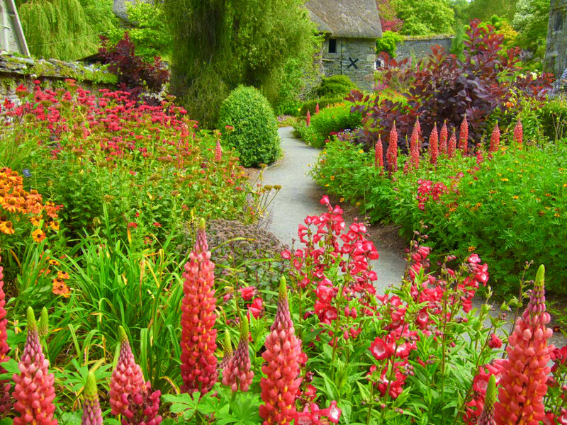Colorful Garden Path — Green, Serene, Summer
