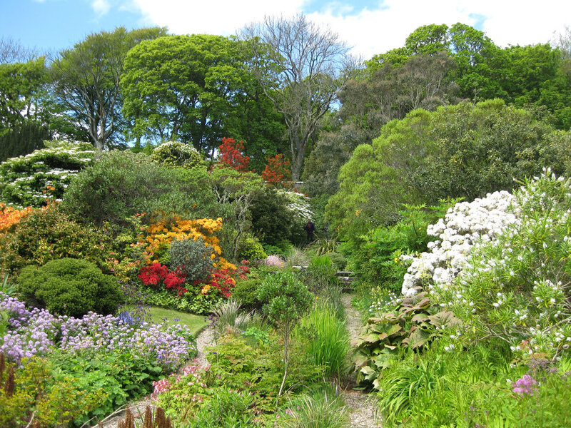 Colorful Garden Path — Green, Serene