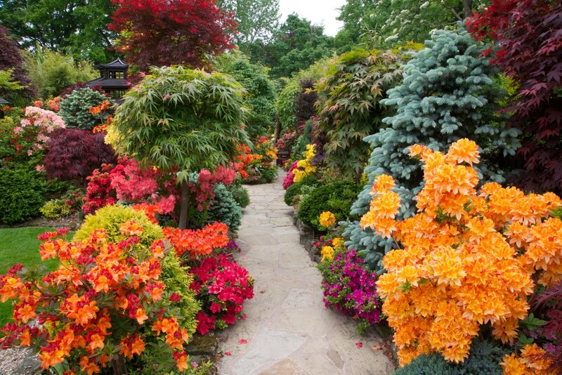 Colorful Garden Path — Orange, Serene