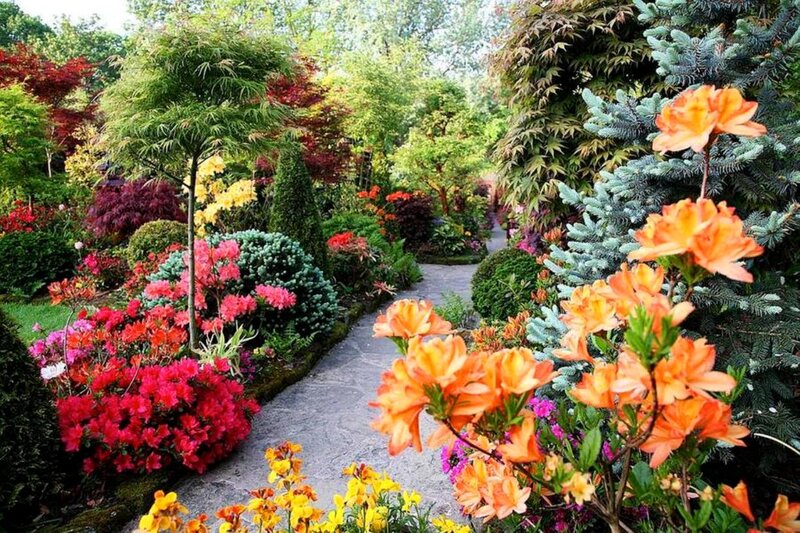 Colorful Garden Path — Orange