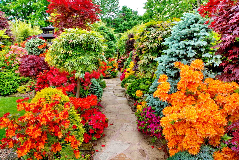 Colorful Garden Path — Orange, Vibrant