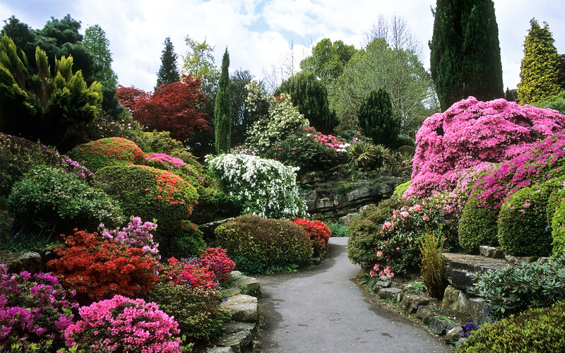 Colorful Garden Path — Pink, Serene, Spring