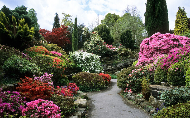 Colorful Garden Path — Pink, Serene