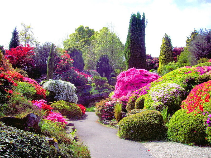 Colorful Garden Path — Pink