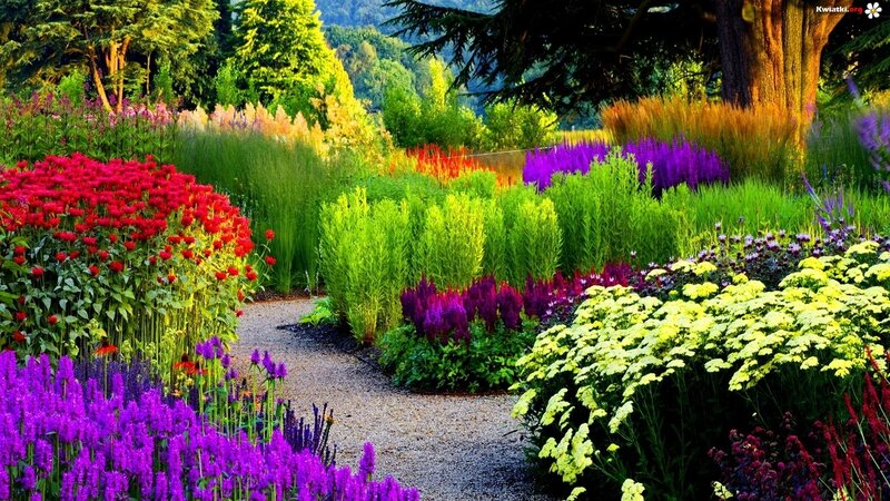 Colorful Garden Path — Purple, Serene, Afternoon