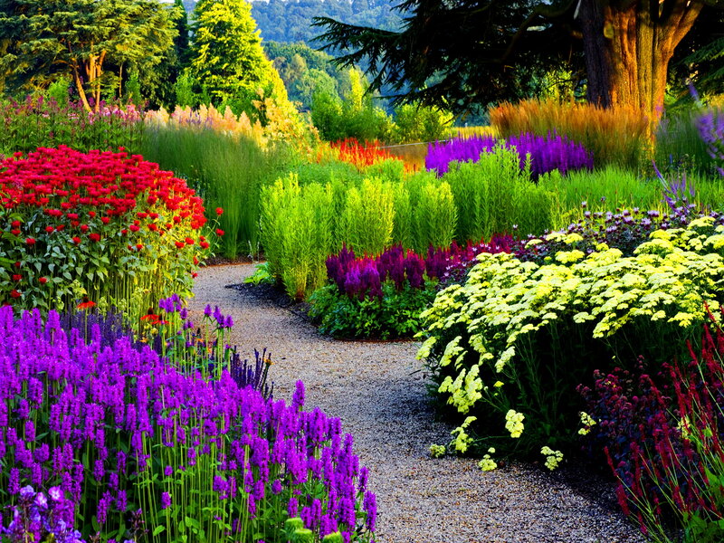 Colorful Garden Path — Purple