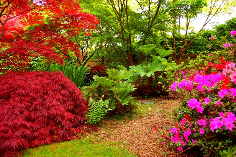 Colorful Garden Path — Red, Serene, Spring