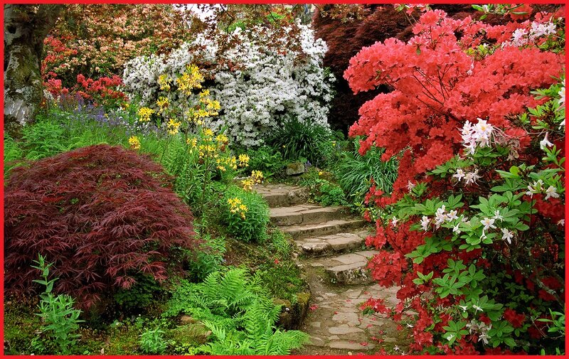 Colorful Garden Path — Red, Serene