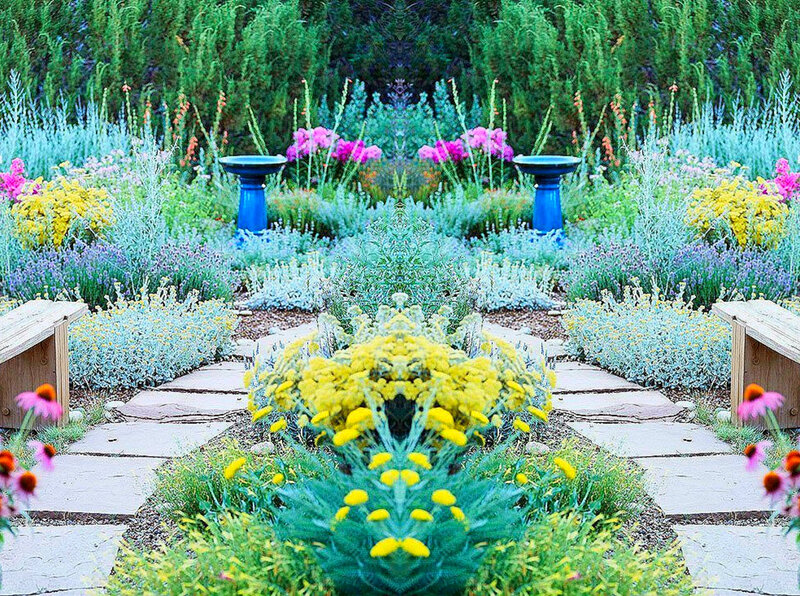 Colorful Garden Path — Yellow