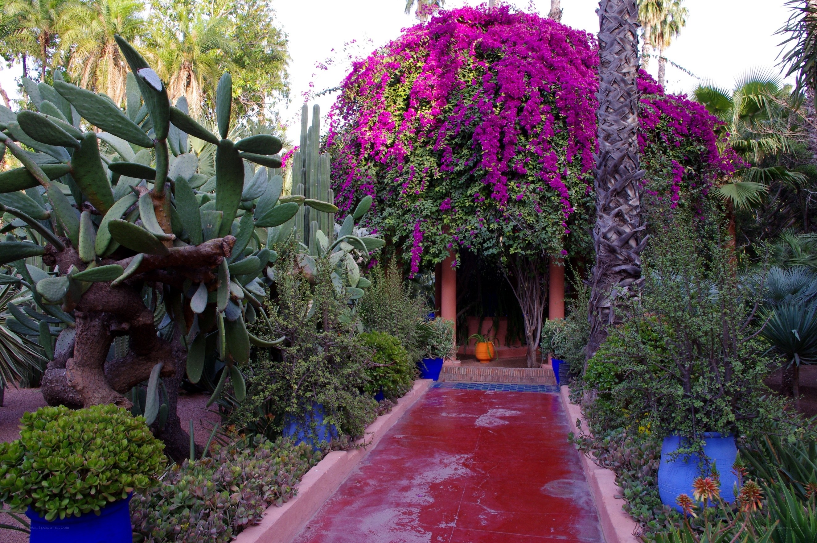 Colorful garden pathway