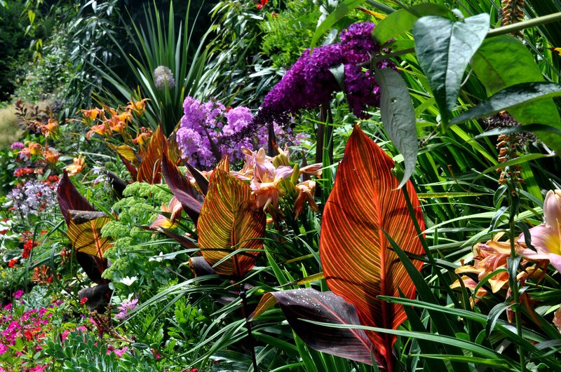 Colorful Garden Plants — Green, Vibrant