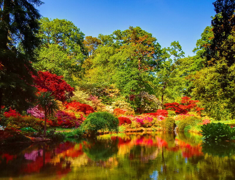 Colorful Garden Pond — Green