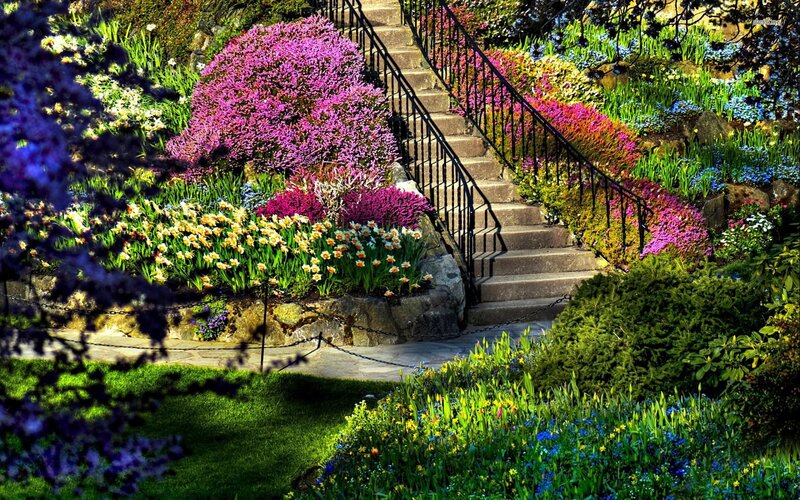Colorful Garden Staircase — Purple, Serene