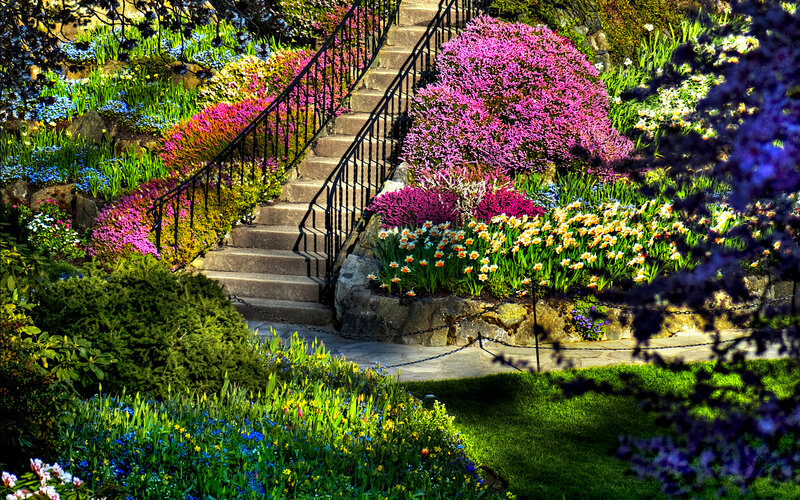 Colorful Garden Staircase — Purple