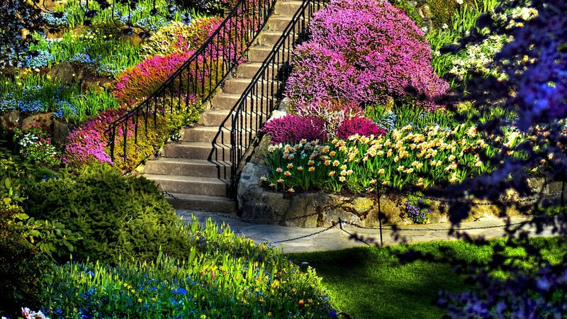 Colorful Garden Staircase — Purple, Vibrant, Spring