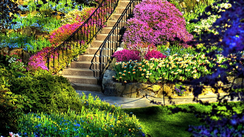 Colorful Garden Staircase — Purple, Vibrant