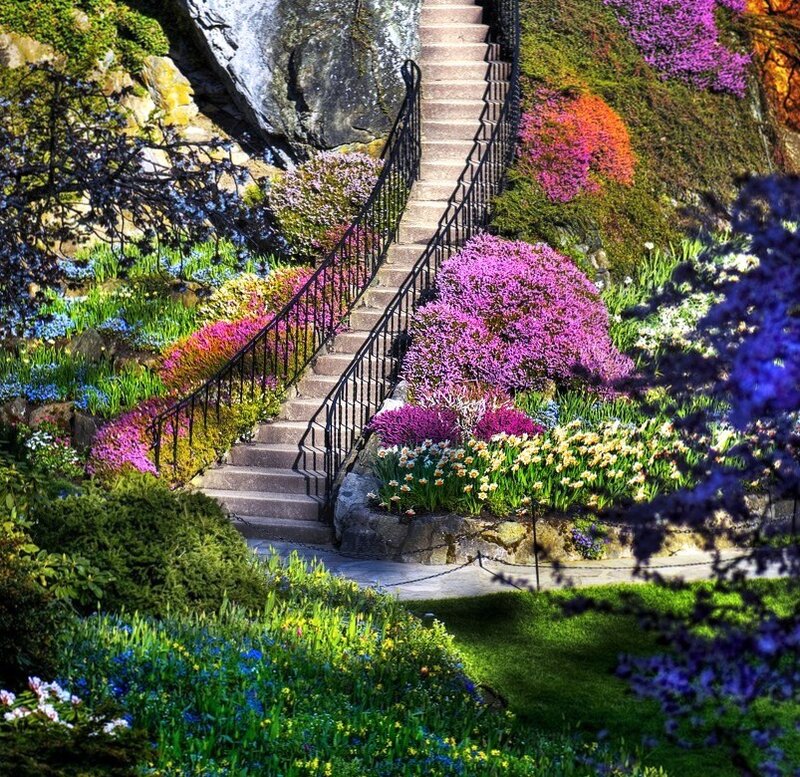 Colorful garden staircase