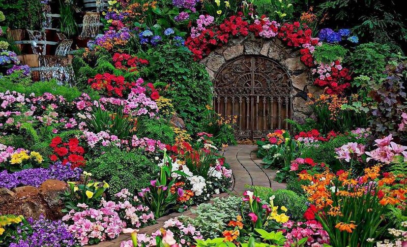 Colorful Garden with Arched Gate — Green