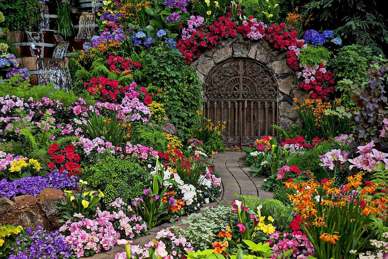 Colorful Garden with Arched Gate — Pink