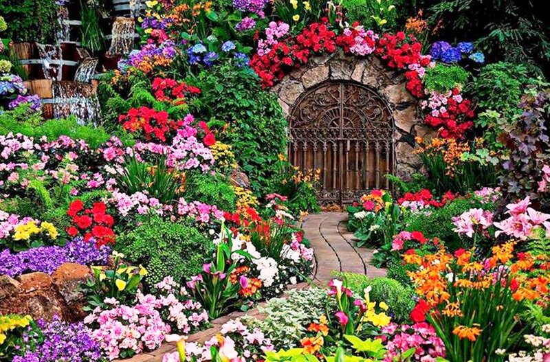Colorful Garden with Arched Gate