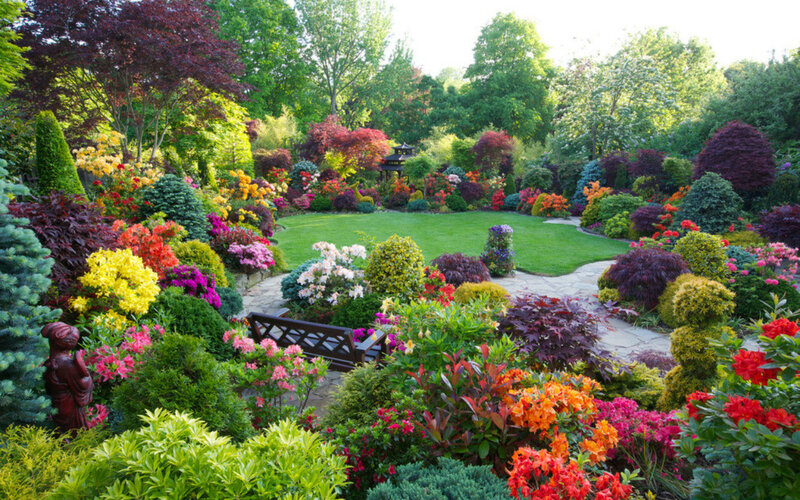 Colorful Garden with Bench — Green, Serene, Afternoon, Photograph