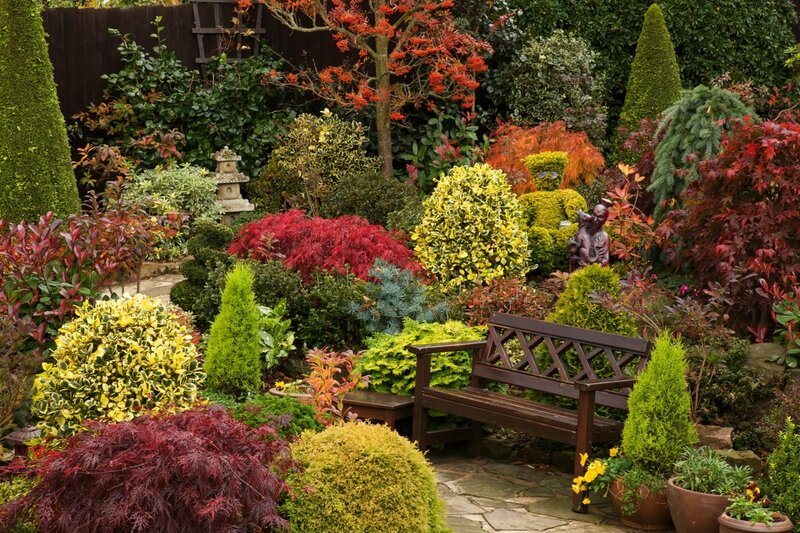 Colorful Garden with Bench — Green