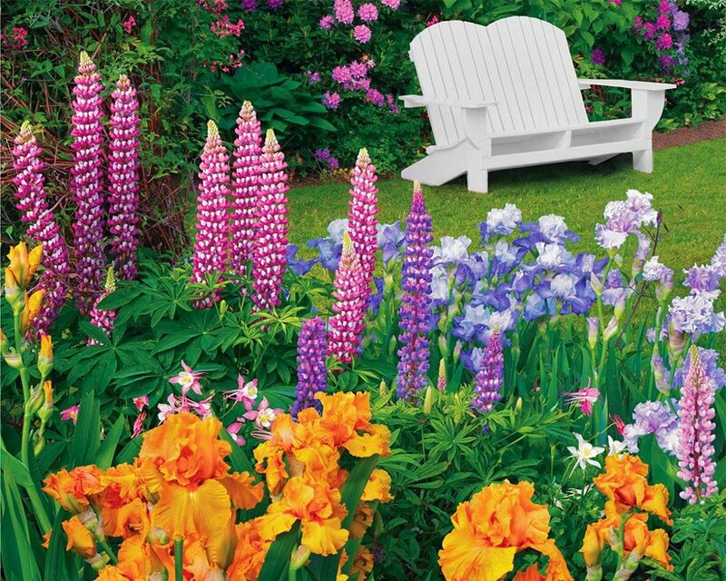 Colorful Garden with Bench — Purple