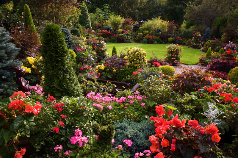 Colorful Garden with Bench