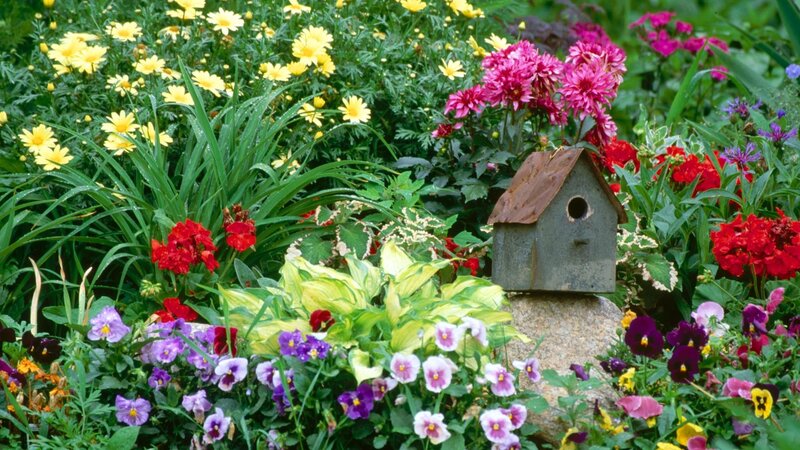 colorful garden with birdhouse