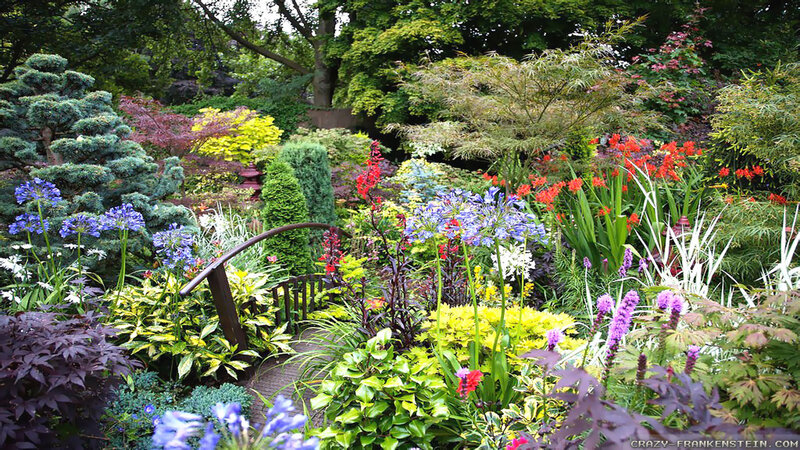Colorful Garden with Bridge