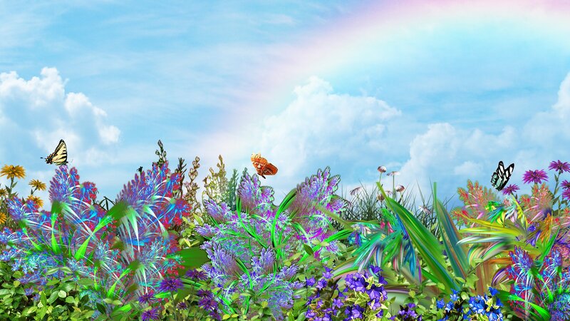 Colorful garden with butterflies