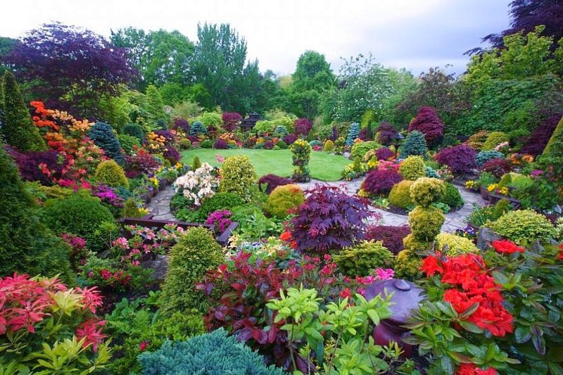 colorful garden with diverse plants