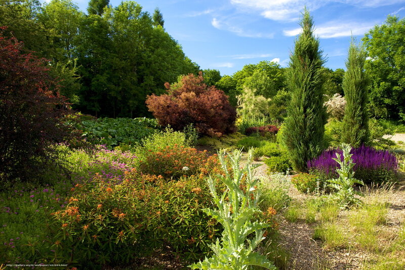 Colorful garden with diverse plants