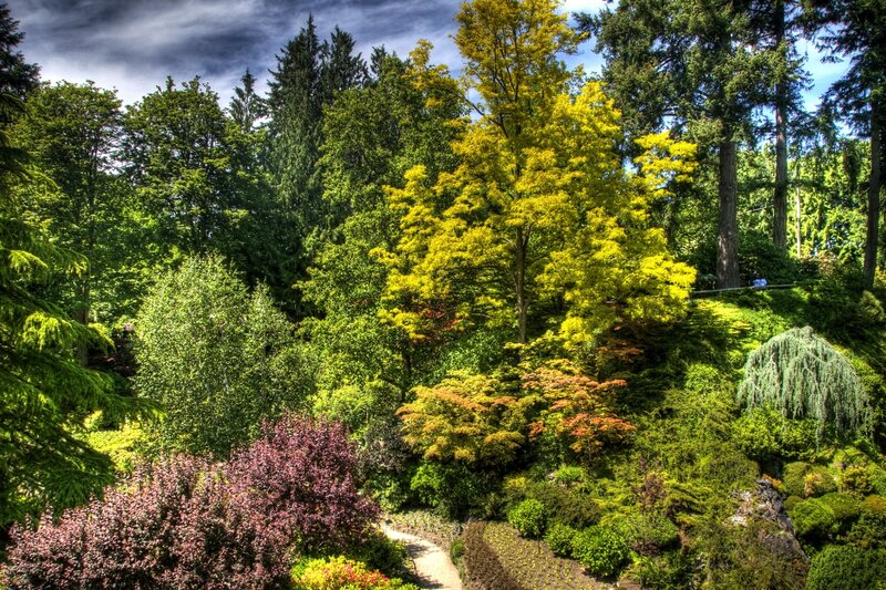 Colorful garden with diverse trees
