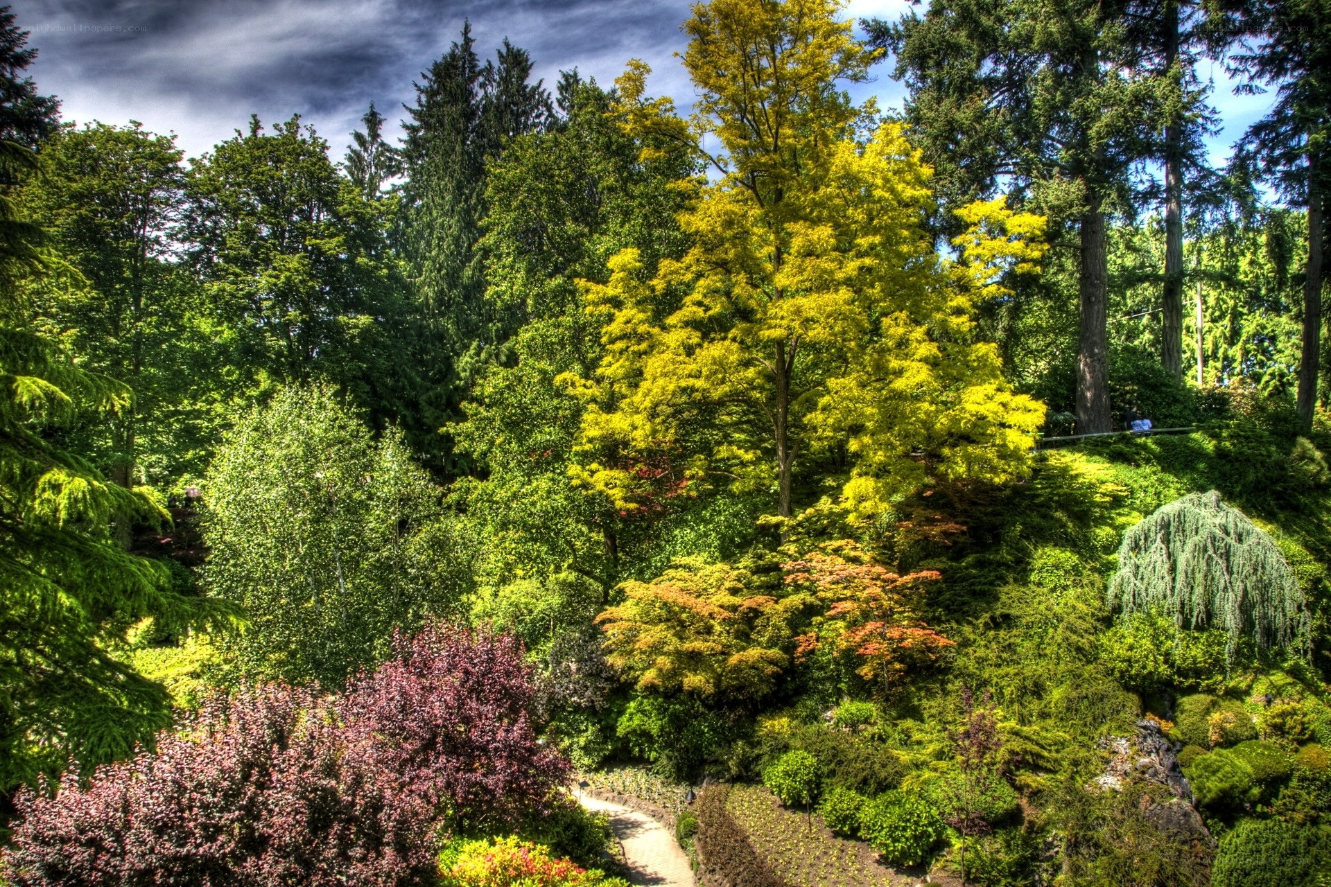 Colorful garden with diverse trees