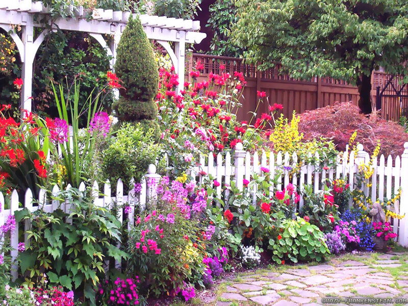 Colorful Garden with Fence — Green