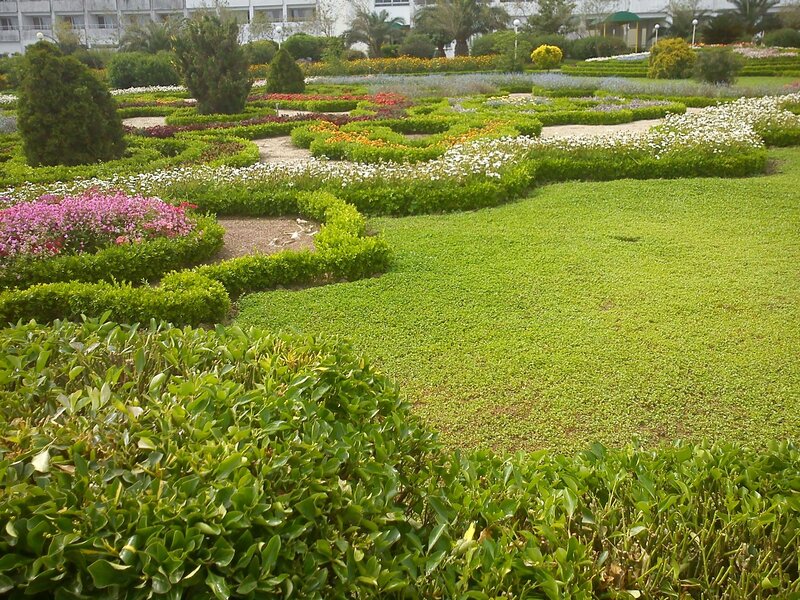 colorful garden with flower beds