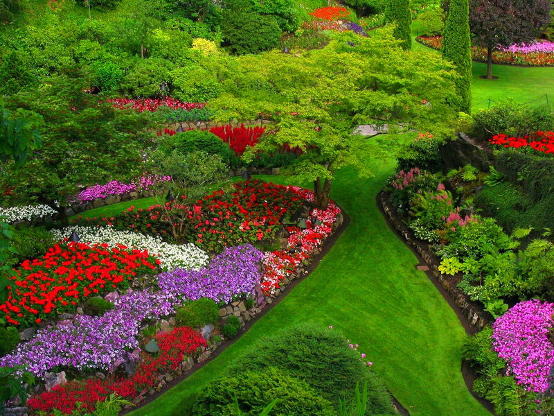 Colorful Garden with Flower Beds — Green