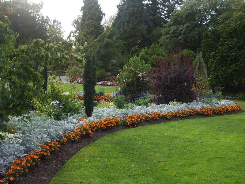 colorful garden with flowers