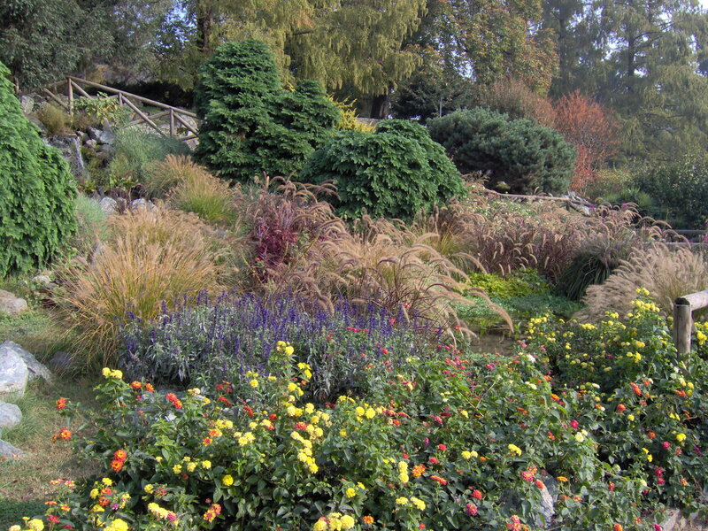 Colorful garden with flowers and grasses
