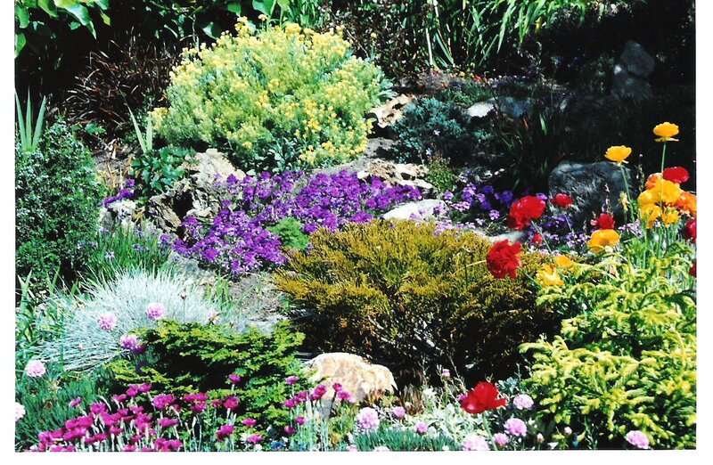 Colorful garden with flowers and rocks