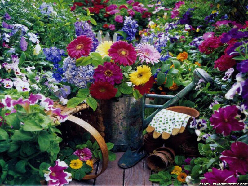 Colorful garden with flowers and tools