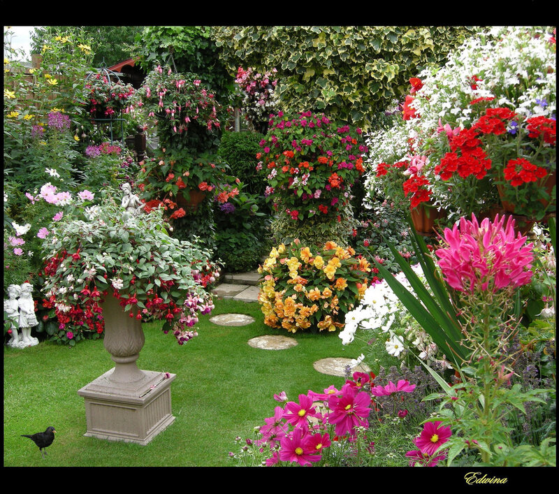 Colorful Garden with Flowers — Green, Serene, Afternoon