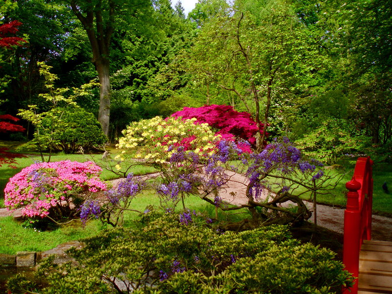 Colorful Garden with Flowers — Green, Serene, Spring