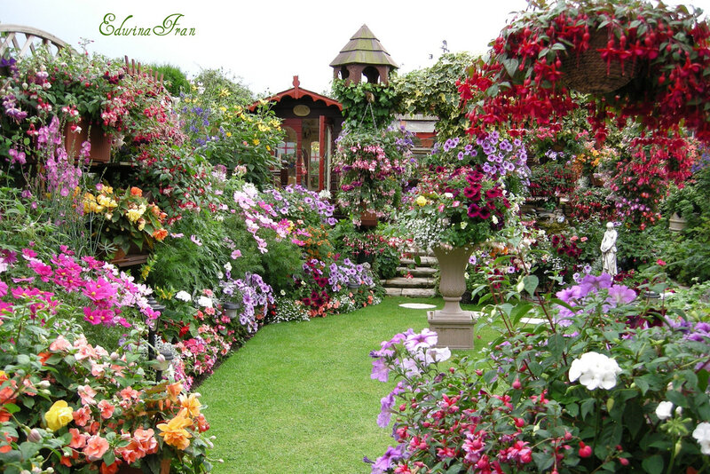 Colorful Garden with Flowers — Green, Serene