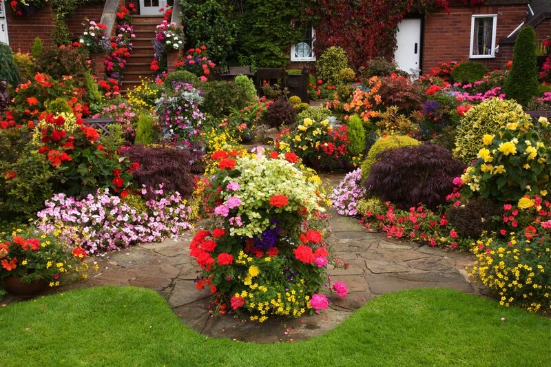 Colorful Garden with Flowers — Green